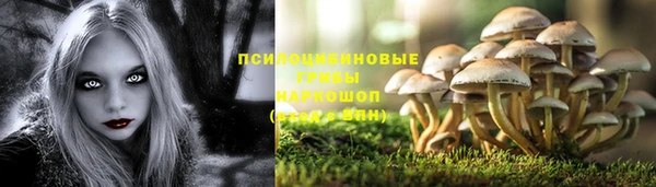 mdpv Магадан