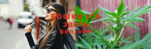 индика Липки