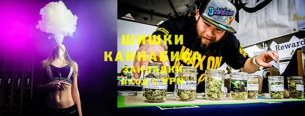 индика Липки